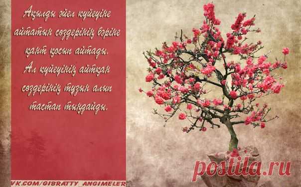 *ҒИБРАТТЫ ӘҢГІМЕЛЕР*