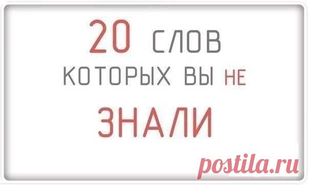 20 слов которых вы не знали!!!