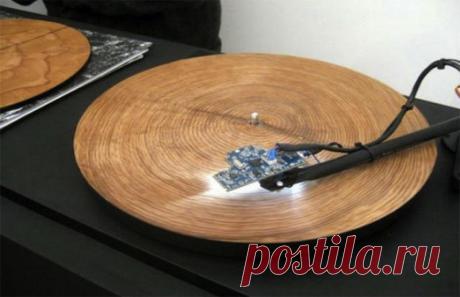 Так звучат деревья на проигрывателе грампластинок