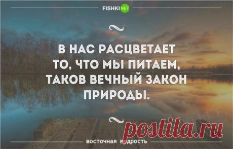 Подобное притягивает подобное