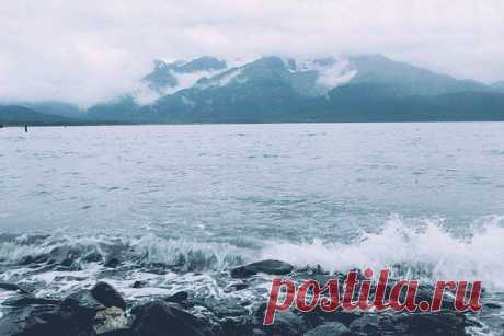 Популярные записи по теме «музыка»