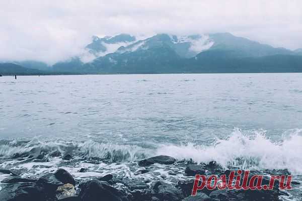 Популярные записи по теме «музыка»