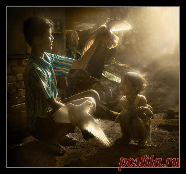 Фотограф Agah Permadi - 13 фото. Фотографии Ольга Дудина.