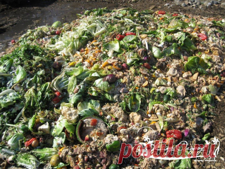 10 правил хорошего компоста