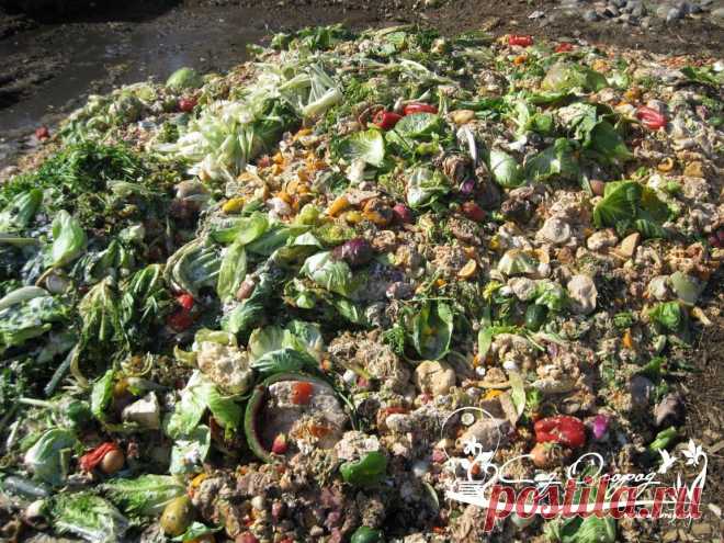 10 правил хорошего компоста