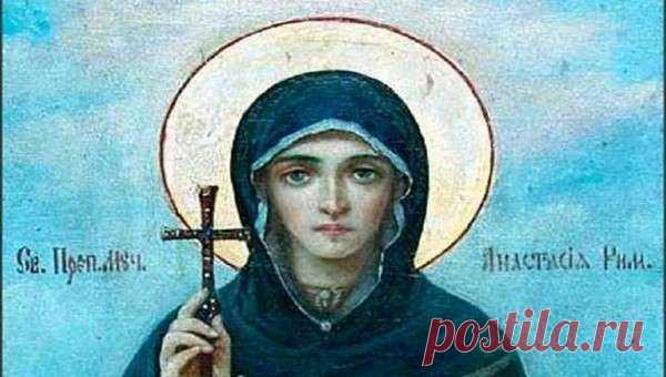 Традиции, заговоры и приметы на 11 ноября Анастасия считается заступницею овец, а Авраамий — покровителем овчаров, которые отмечают в этот день свой праздник. Многие из крестьян были уверены