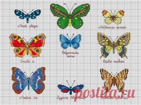 схемы букашек - Пошук Google