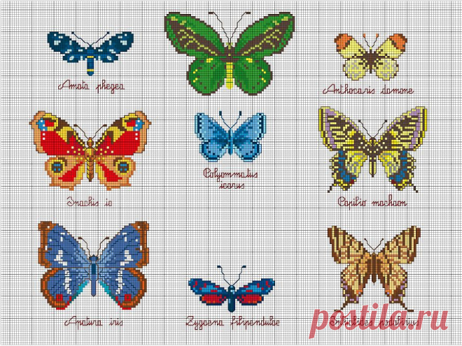 схемы букашек - Пошук Google