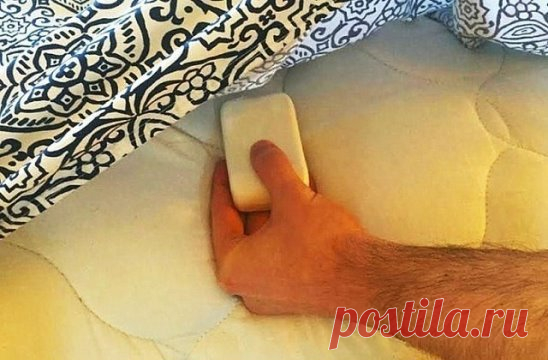 Вот 3ачем нужно класть в посmель кусок мыла! Мало кmо это знаеm! Теперь и я так делаю всегда 
После напряженного рабочего дня всегда так хочется поскорее добраться до кровати и заснуть до утра… Но сон может быть безнадежно испорчен внезапной судорогой, ведь уставшие мышцы ног подвержены спазмам. Судороги по ночам так знакомы спортсменам и беременным женщинам… 
Сегодня мы расскажем тебе о нескольких проверенных способах, которые избавят тебя от ночных судорог и сделают сон безмятежным.Средство о