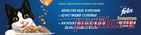 Как испортить кота. Вредные советы – 2 - Mail.ru Питомцы