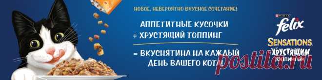 Как испортить кота. Вредные советы – 2 - Mail.ru Питомцы