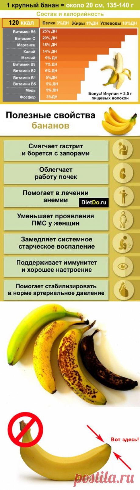 Бананы — польза и вред для организма, как выбирать, хранить и кушать