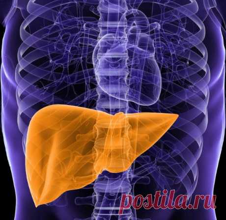 Жировой гепатоз: причины, симптомы и лечение жировой дистрофии печени
Жировой гепатоз печени (Лечение неалкогольной жировой болезни печени)
Что такое жировой гепатоз? Жировой гепатоз или неалкогольная жировая болезнь печени – НАЖБП (стеатоз печени, жировая инфильтра…