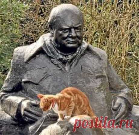 Wartime Prime Minister Sir Winston Churchill adored his marmalade cat, Jock. He requested that a cat by the same name should always live at Chartwell, his country home in Kent. The National Trust, which looks after the house, has always honoured this request and this month welcomed Jock VI , a seven-month-old rescue kitten.