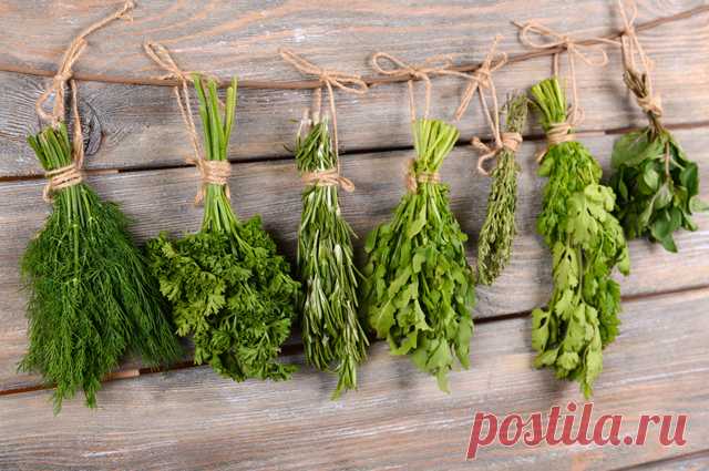 Для плавного похудения пейте волос кукурузы. Секреты травницы