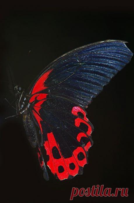 A beautiful photo you feel with your heart