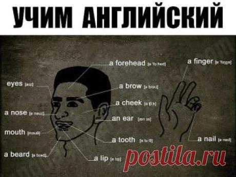 УЧИМ  АНГЛИЙСКИЙ
300 первых слов. 24 смысловые группы.
please (плиз) - пожалуйста, прошу. sorry (сори) - извините
you are welcome (ю а вэлкам) - пожалуйста, не за что
hello (хэллоу) - здравствуйте. hi (хай) - привет
goodbye (гудбай) - до свидания, пока. see you (cи ю) - увидимся
yes (да) - да. no (ноу) - нет. not (нот) - не
this (зис) - этот. that (зэт) – тот
name (нэйм) - имя. address (эдрэс) - адрес
phone number (фоун намбэр) - номер. age (эйдж) - возраст
married (мэррид...