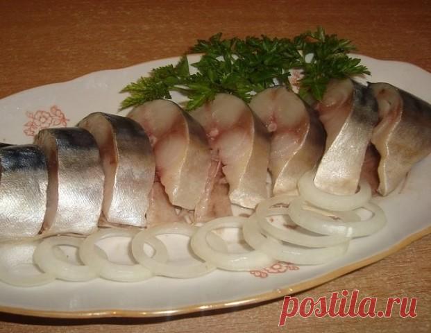 Потрясающая соленая скумбрия. 

Предлагаю самый удачный рецепт солёной скумбрии, от которой все будут в полном восторге. 

Ингредиенты 
Соль – 5 ст.л. без верха 
Сахар – 2 ст.л. 
Чай чёрный без добавок — 3 ст.л. 
Лук – 1 шт. 
Вода – 1 л 

Маринад 
В кастрюлю набираем воду, добавляем соль, сахар, нарезанный лук, чай чёрный. Чая можно взять и больше, всё зависит от его качества. Он, во-первых, цвет рыбе придаёт копчёный, а во-вторых, дубильные вещества делают её плотной и кр...