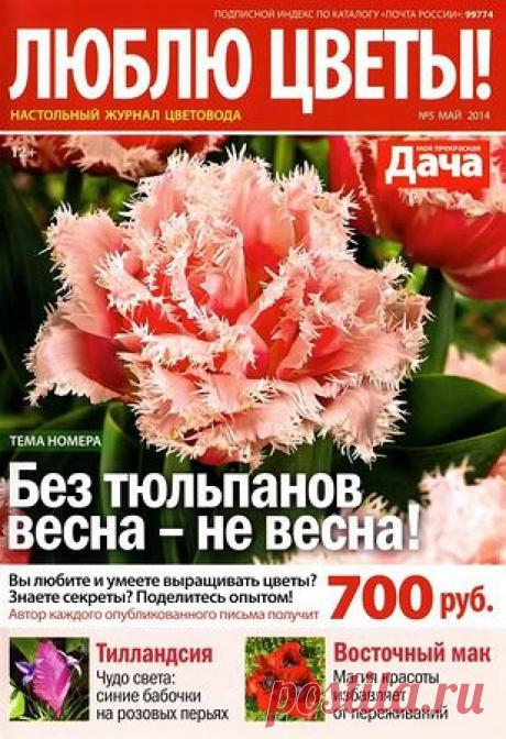 lubl_cvety_5_14.pdf — Яндекс.Диск