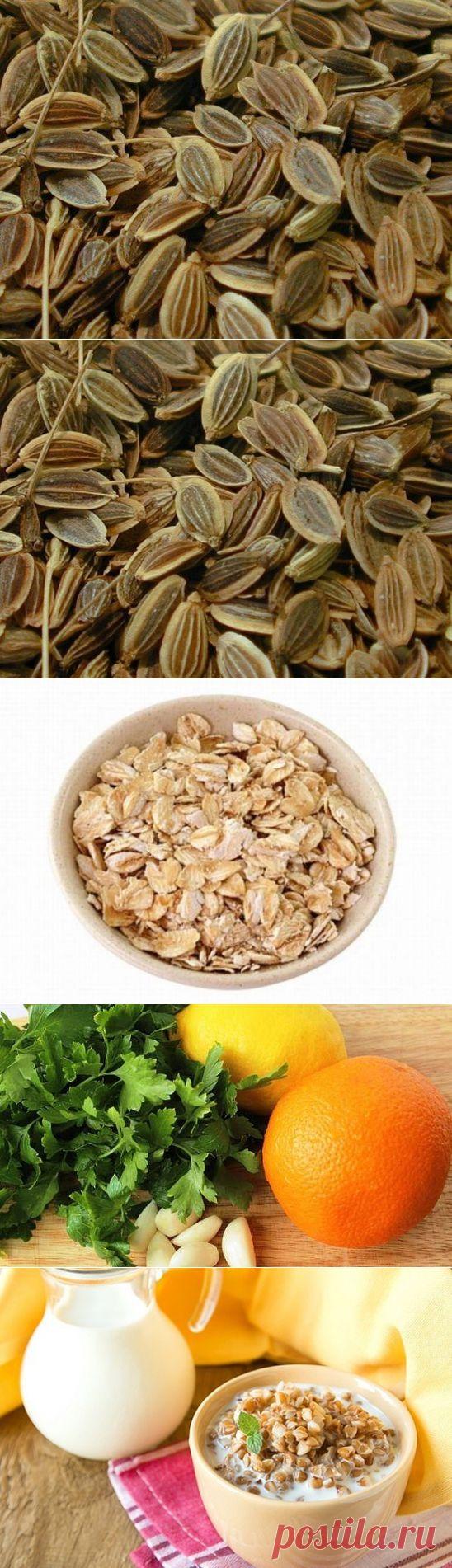 Поджелудочная