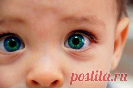 15+ Деток С Глазками Как У Кота В Сапогах, Из “Шрека”. | Лучшие истории со всего мира