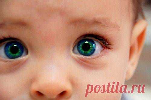 15+ Деток С Глазками Как У Кота В Сапогах, Из “Шрека”. | Лучшие истории со всего мира