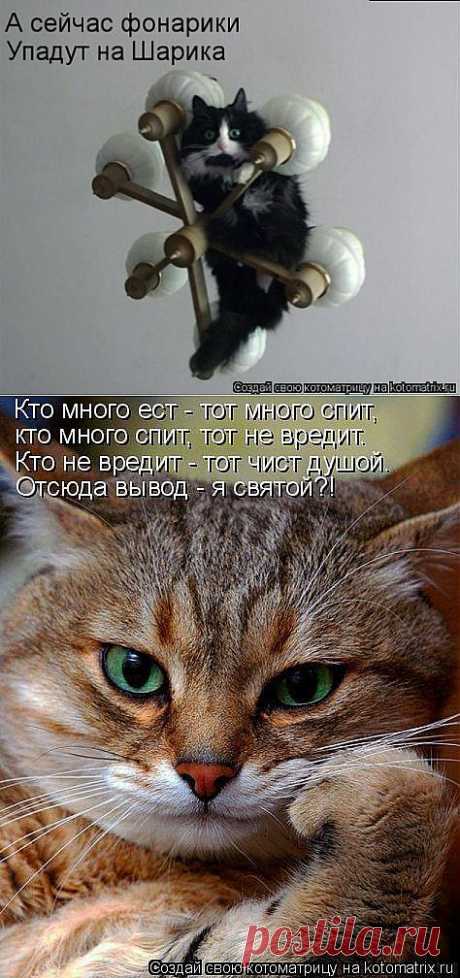 А СЕЙЧАС ФОНАРИКИ УПАДУТ НА ШАРИКА!