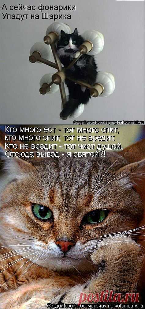 А СЕЙЧАС ФОНАРИКИ УПАДУТ НА ШАРИКА!