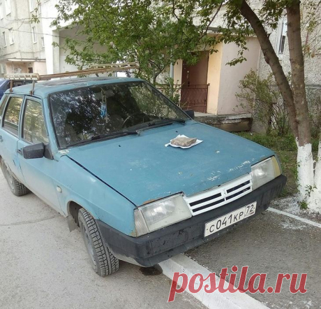19 примеров, когда люди не понимают настолько толстых намеков, что проще прямо в лицо заявить Говорят, что люди начинают перенимать привычки друг друга, когда долго живут вместе. Начинают понимать если не мысли, то намерения другой стороны, действовать на инстинктах, слаженно и дружно.
И это п...