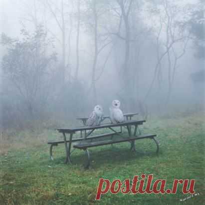 Одноклассники