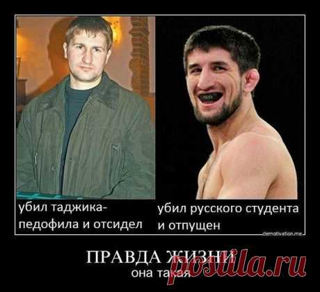 Нож в кармане и камень за пазухой. Мигранты удивлены, почему им не дают жить в России так как они хотят. А если это подготовка к ... | Россия. Путь истины | Дзен