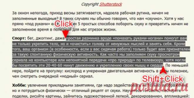 Ликбез!Что ты можешь, мышь компьютерная? | Это интересно!