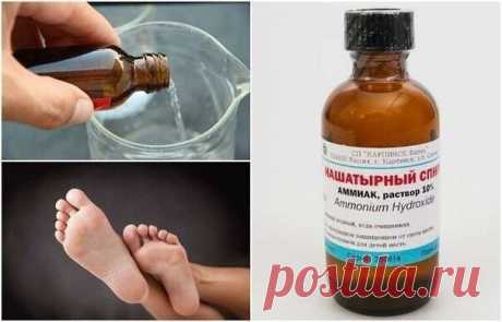 Нашатырный спирт: 7 бед - 1 ответ!

Вы знали, чтo нашатырный спиpт прекрасно спpавляется с насекомыми, вредителями и помогает комнатным растениям? Он может вернуть пяточкам былую мягкость, а так же отлично отмыть ваши окна и отбелить белье! Вот некоторые секреты применения этого средства:

1. Нашатырный спирт против насекомых.

Иногда просто нет сил бороться с муравьями, которые бесконечными чередками появляются на кухне неизвестно откуда. Здесь тоже поможет нашатырный спи...