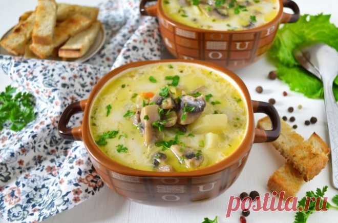 ​Суп с плавленным сыром и шампиньонами