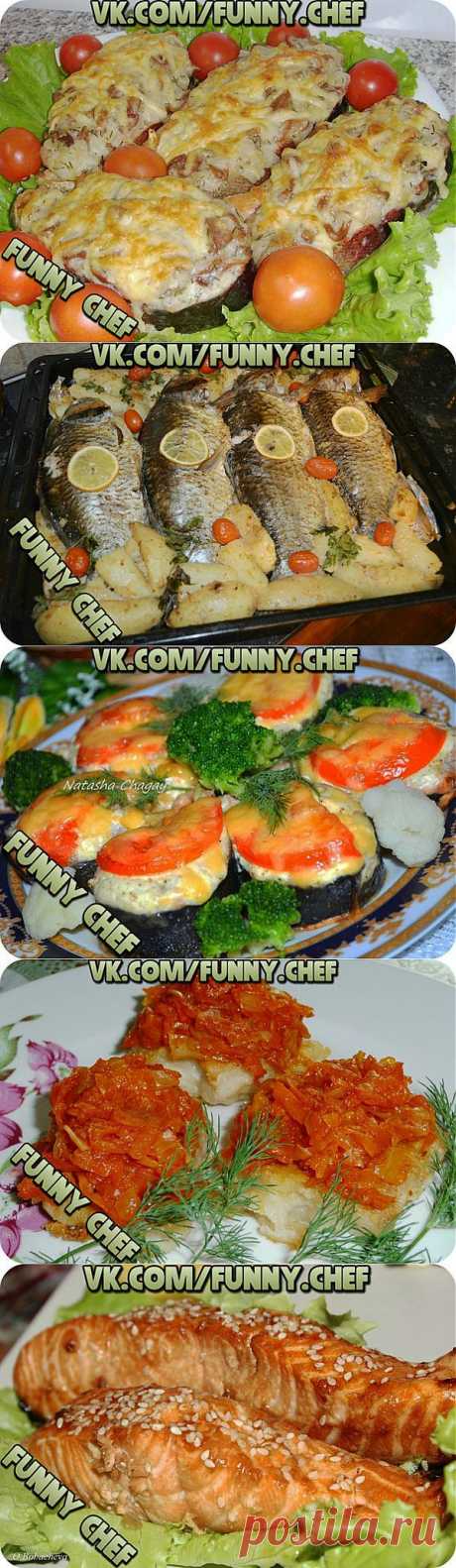 ЛУЧШИЕ РЕЦЕПТЫ 9 РЕЦЕПТОВ ВКУСНЫХ РЫБНЫХ БЛЮД.