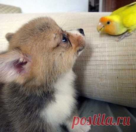 Людмила Дегтярева