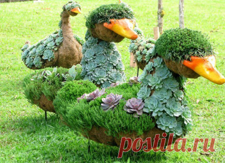 Дачные идеи.