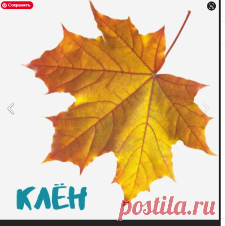 Образование и развитие детей "Дошкольник"