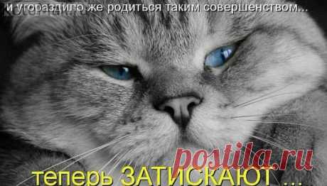 Совершенство...