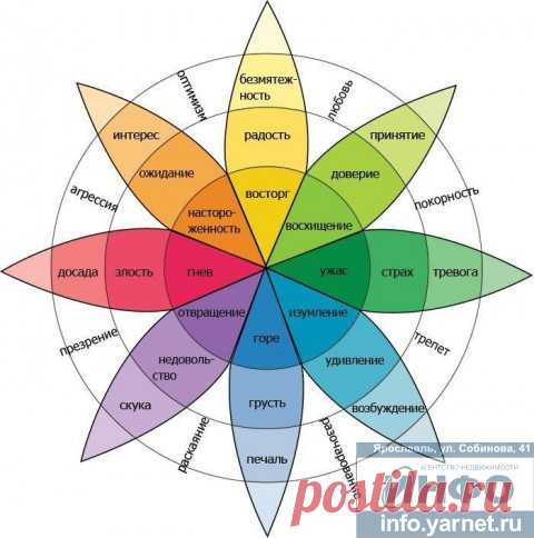 Риэлтору: Колесо эмоций - 8 основных эмоций и связанные с ними более сложные. Эмоциональный интелект.