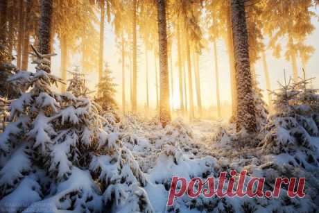 20 лучших фотографий недели (20.01.2014-26.01.2014) | В мире интересного