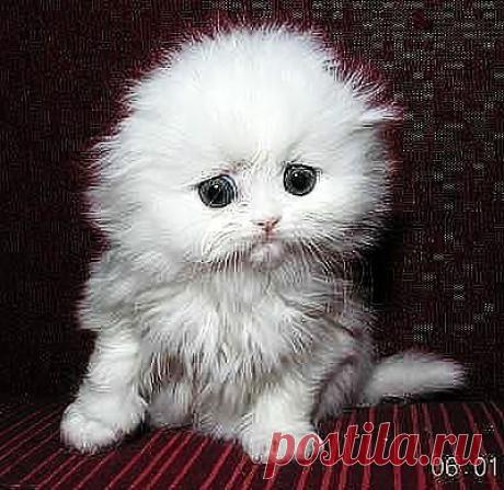 НИКТО МНЕ КЛАСС НЕ СТАВИТ... НЕ КРАСИВЫЙ Я ЗНАЧИТ...