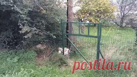 OK.RU