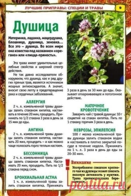 ТАКИХ РЕЦЕПТОВ ВЫ БОЛЬШЕ НЕ НАЙДЕТЕ!
Целебные растения и приправы для нашего здоровья.