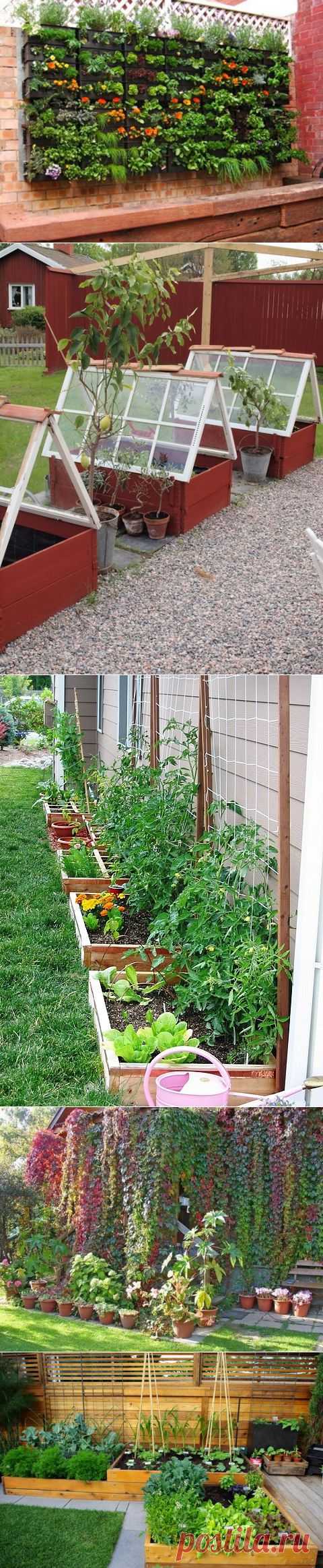 ДАЧНЫЕ ИДЕИ | Самоцветик