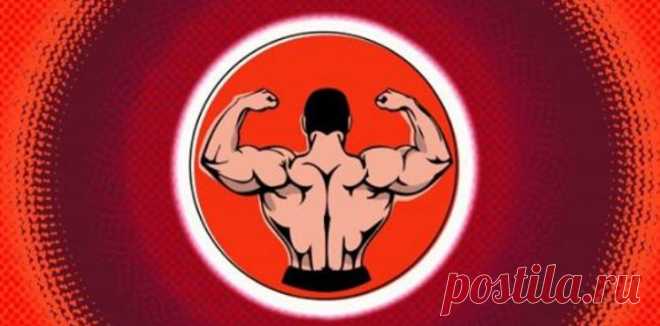 10 упражнений для спины, эффективность которых подтверждена учёными - Журнал Советов Какие мышцы качать То, как будет выглядеть ваша спина, определяют трапециевидные, ромбовидные, большие и малые круглые, подостные и широчайшие мышцы. Чтобы обеспечить симметричный вид и поддержать здоровье, нужно прокачивать их все. Вдоль позвоночного столба, от крестца и до черепа, тянется мышца, выпрямляющая позвоночник. Её также необходимо укреплять, чтобы избежать травм во время силовой тренировки и […]