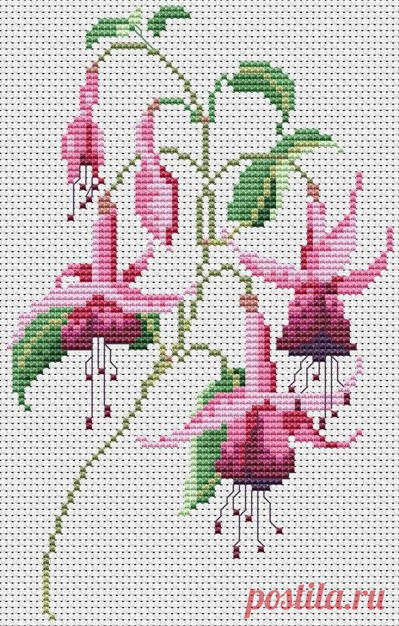 (45) Pinterest