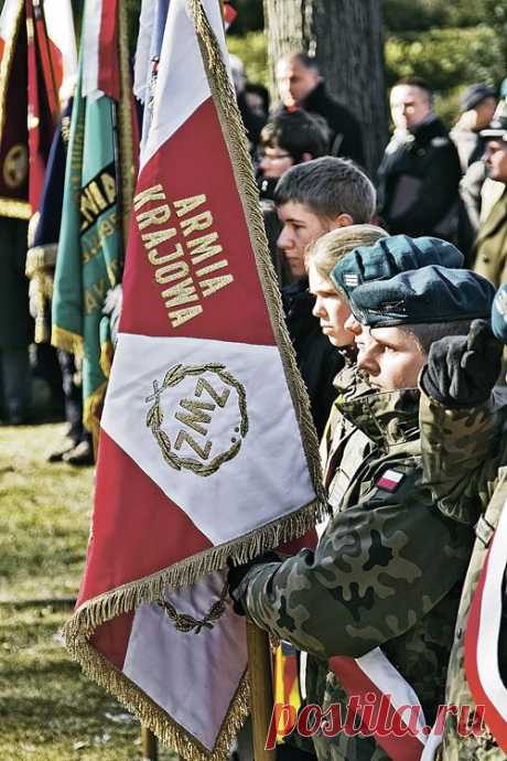 Архивные документы свидетельствуют: пока Советская Армия освобождала Польшу, местное подполье стреляло ей в спину