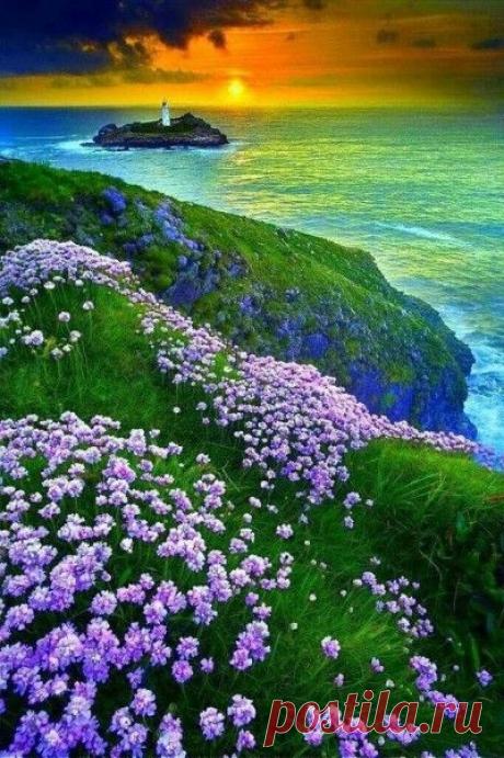 Pinterest (Pin) (157)