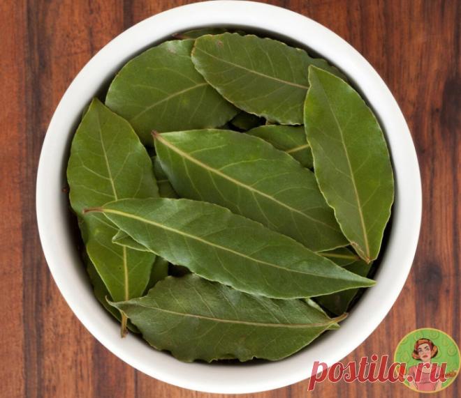 ЛEЧИMСЯ ОБЫЧНОЙ ЛАВPУШКОЙ!